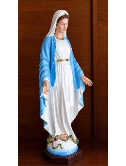 Statua Madonna Immacolata Concezione cm60
