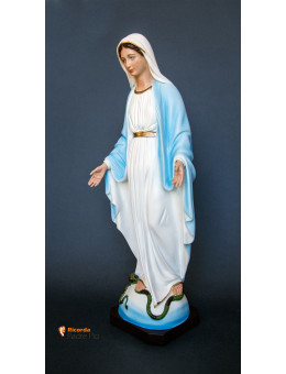 Statua Madonna Immacolata Concezione cm40