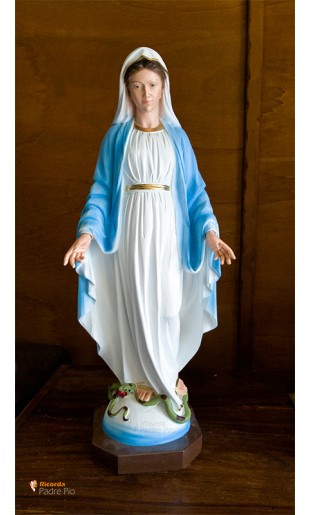 Statua Madonna Immacolata Concezione cm60