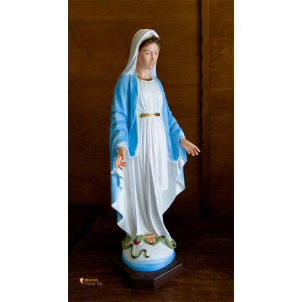 Statua Madonna Immacolata Concezione cm60
