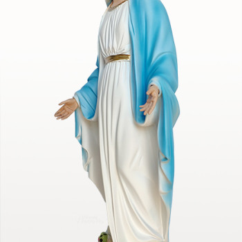 Statua Madonna Immacolata Concezione cm50