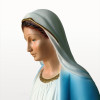 Statua Madonna Immacolata Concezione cm50